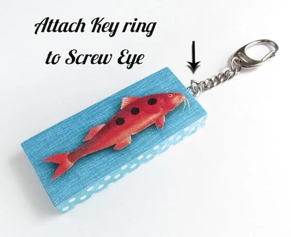 Keyring attached to the eye hook