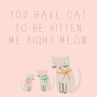You've Cat to be Kitten Me Right Meow