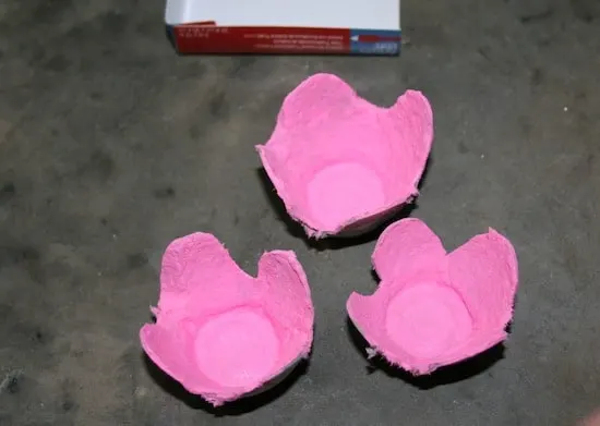 Egg cartons painted pink