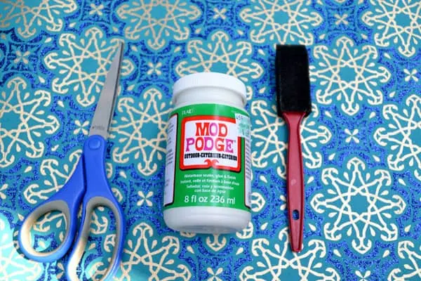 A pair of scissors, Mod Podge Outdoor, and a foam brush