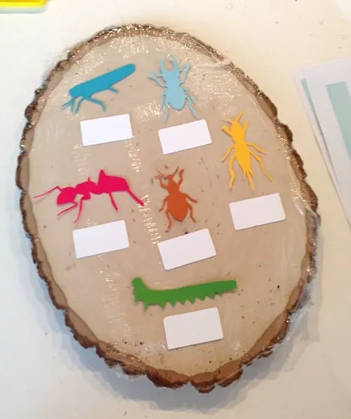 Colorful bugs and white labels laid out on top of the wood slice