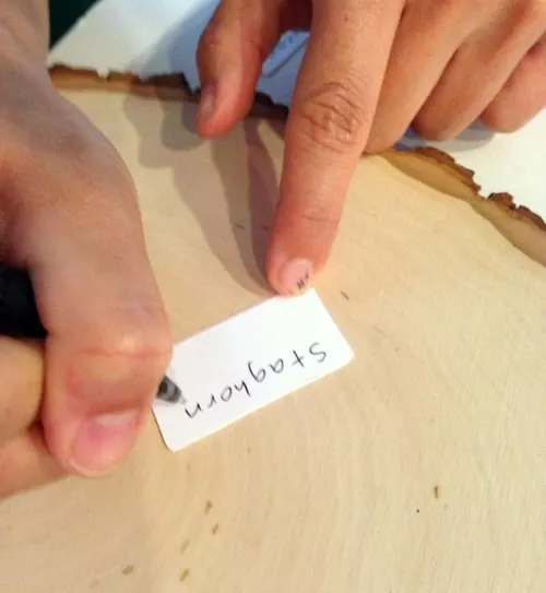 Writing a bug name on a white tag using a pen