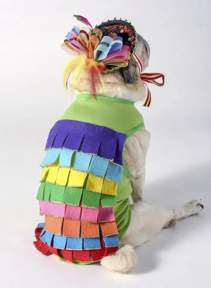 This piñata dog Halloween costume was so easy to create! I used simple supplies including rainbow felt with a doggy tee I already had. SO cute!