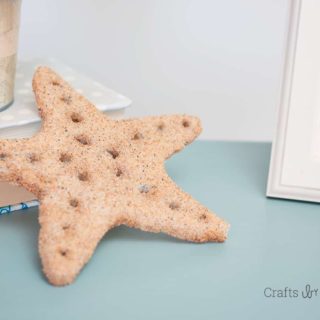 DIY star fish