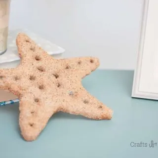 DIY star fish
