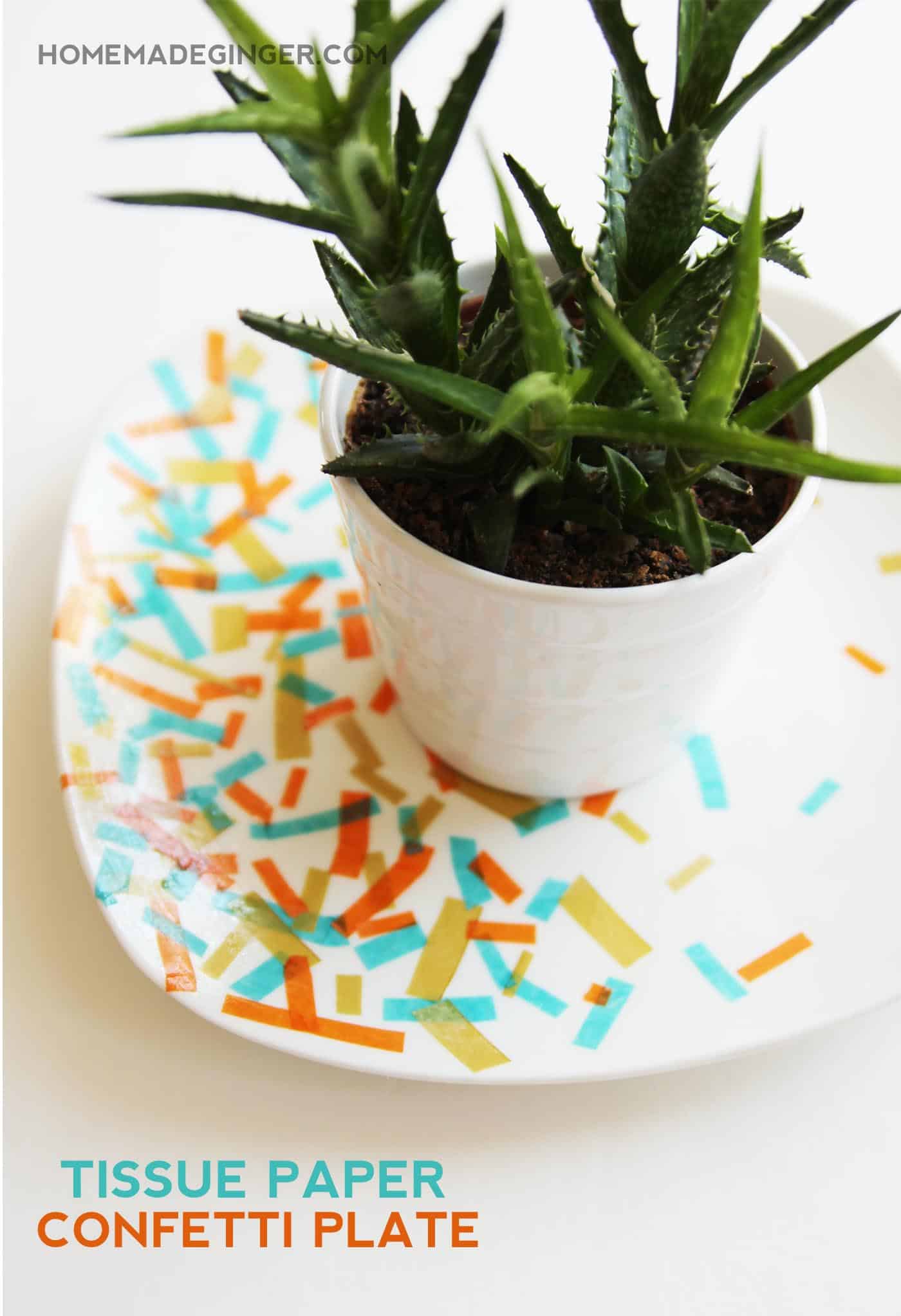 DIY confetti plates with Mod Podge