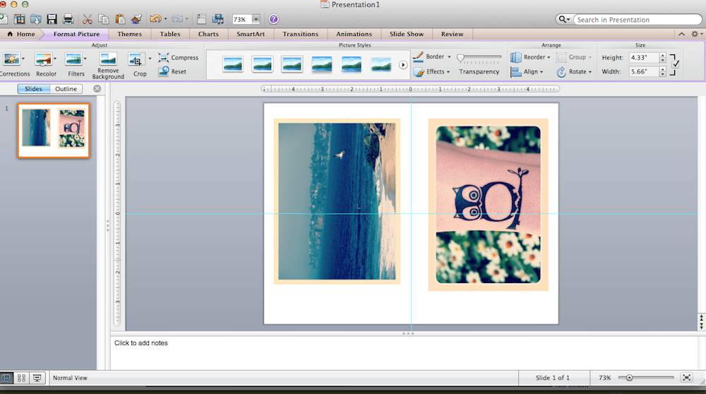Two photos on one slide in Microsoft PowerPoint