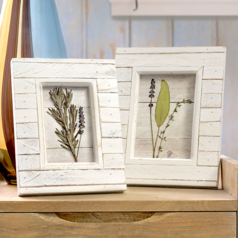 Framed Dried Flowers Craft