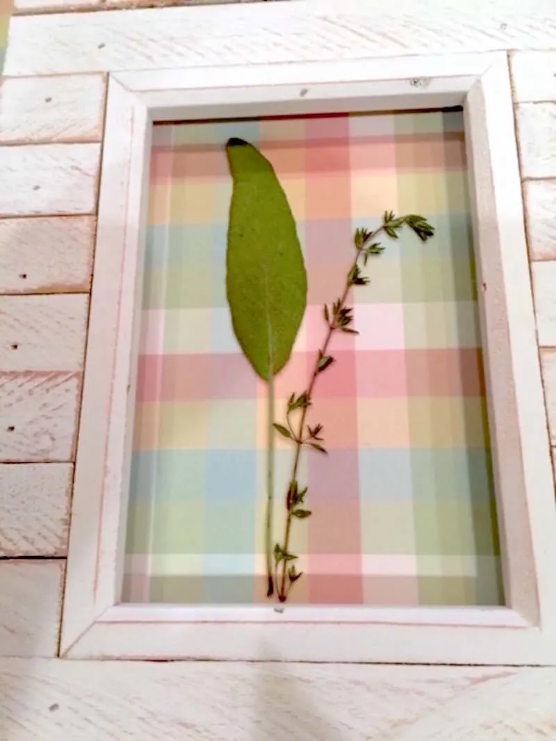 Pressed flowers inserted in a frame