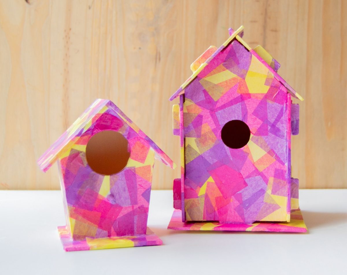 bird house craft