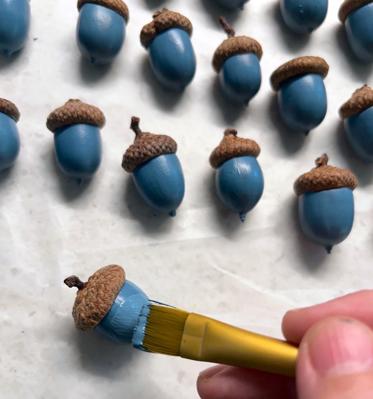 painting an additional coat of paint on an acorn