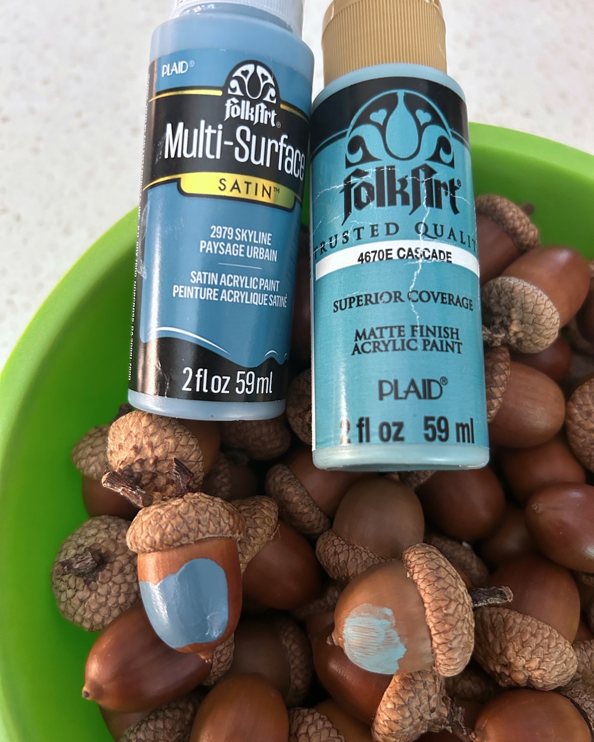 sample paint colors on acorns