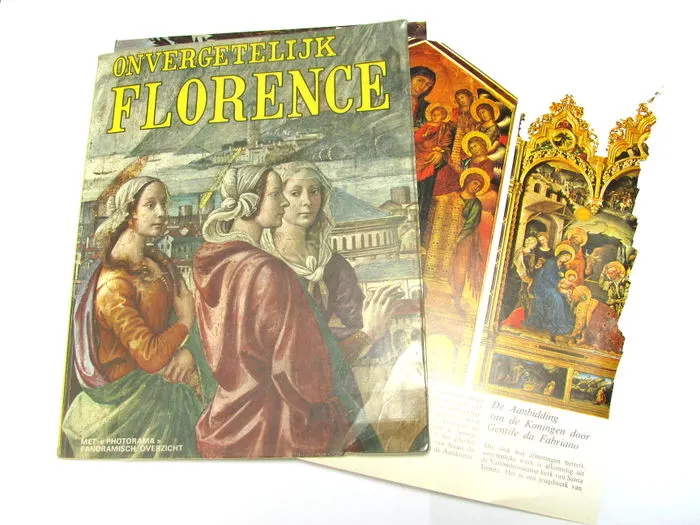 Renaissance inspired books to use for the project