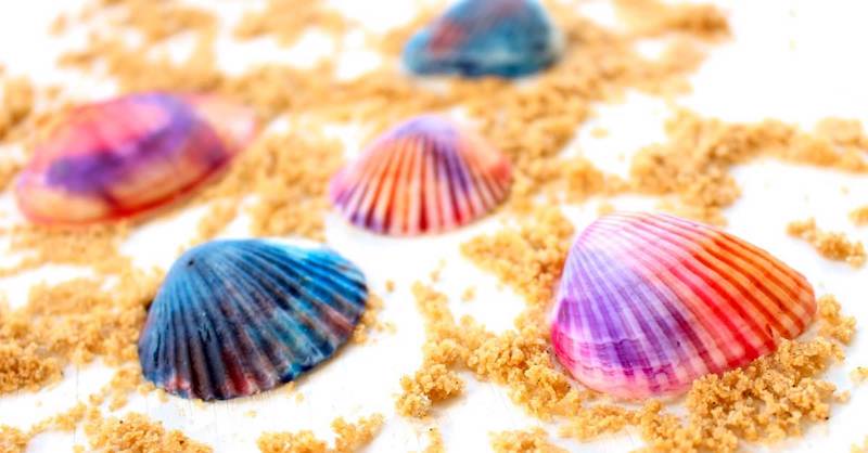 Tie Dye Painted Seashells