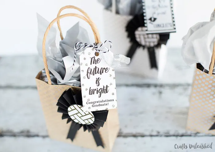 15 DIY Gift Bag Ideas for Every Occasion, make a gift 