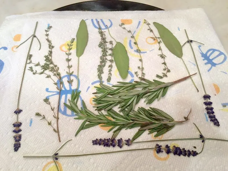 Flowers-and-leaves-laying-out-on-a-paper-towel