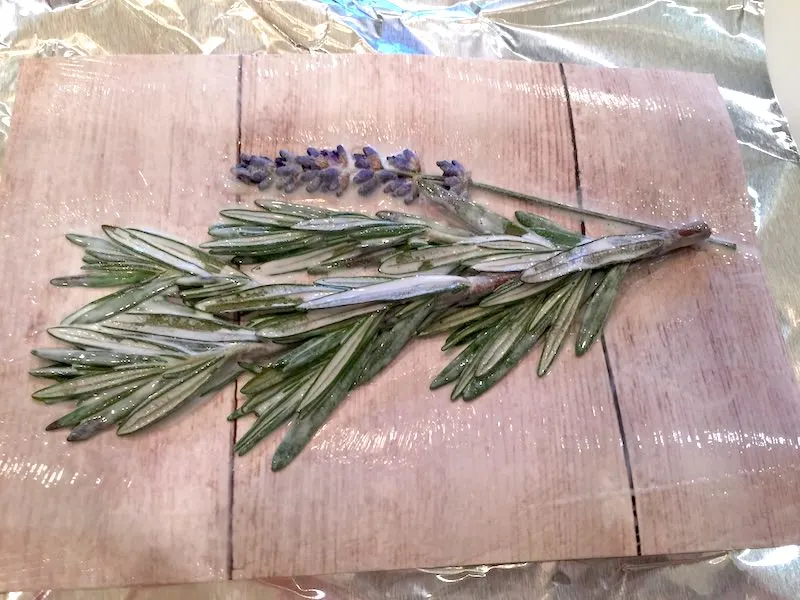 Rosemary-pressed-and-Mod-Podge
