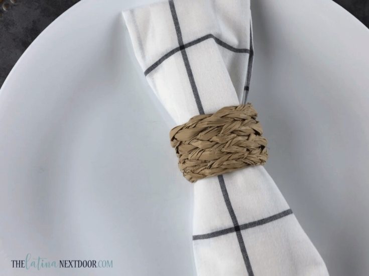travel themed napkin rings