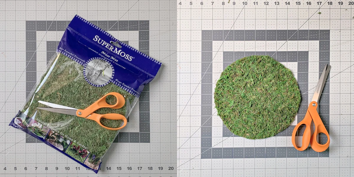 Supermoss package and then cut into a circle