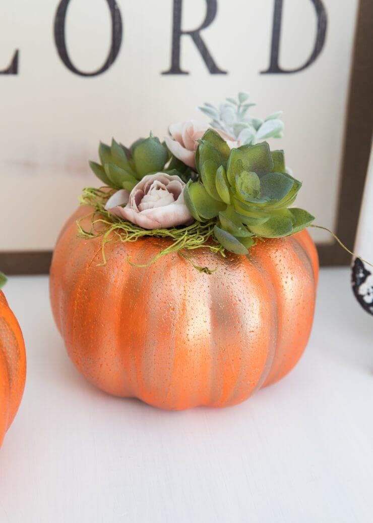 DIY Pumpkin Succulent Planter