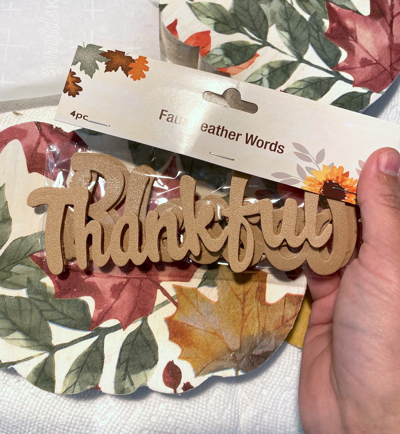 Package of Thanksgiving words from Dollar Tree