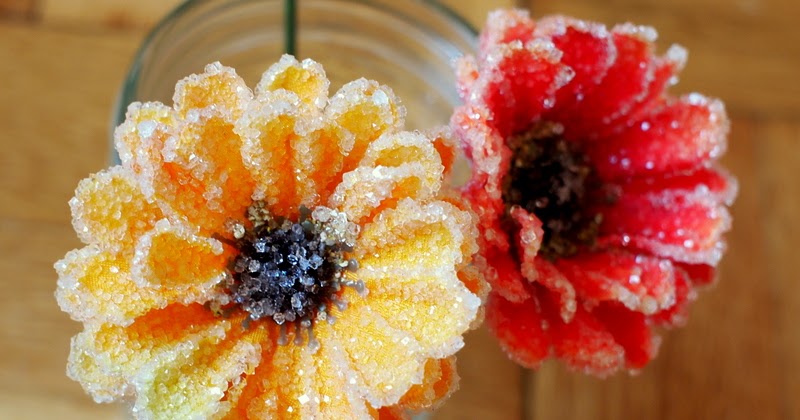 Make Borax Crystal Flowers