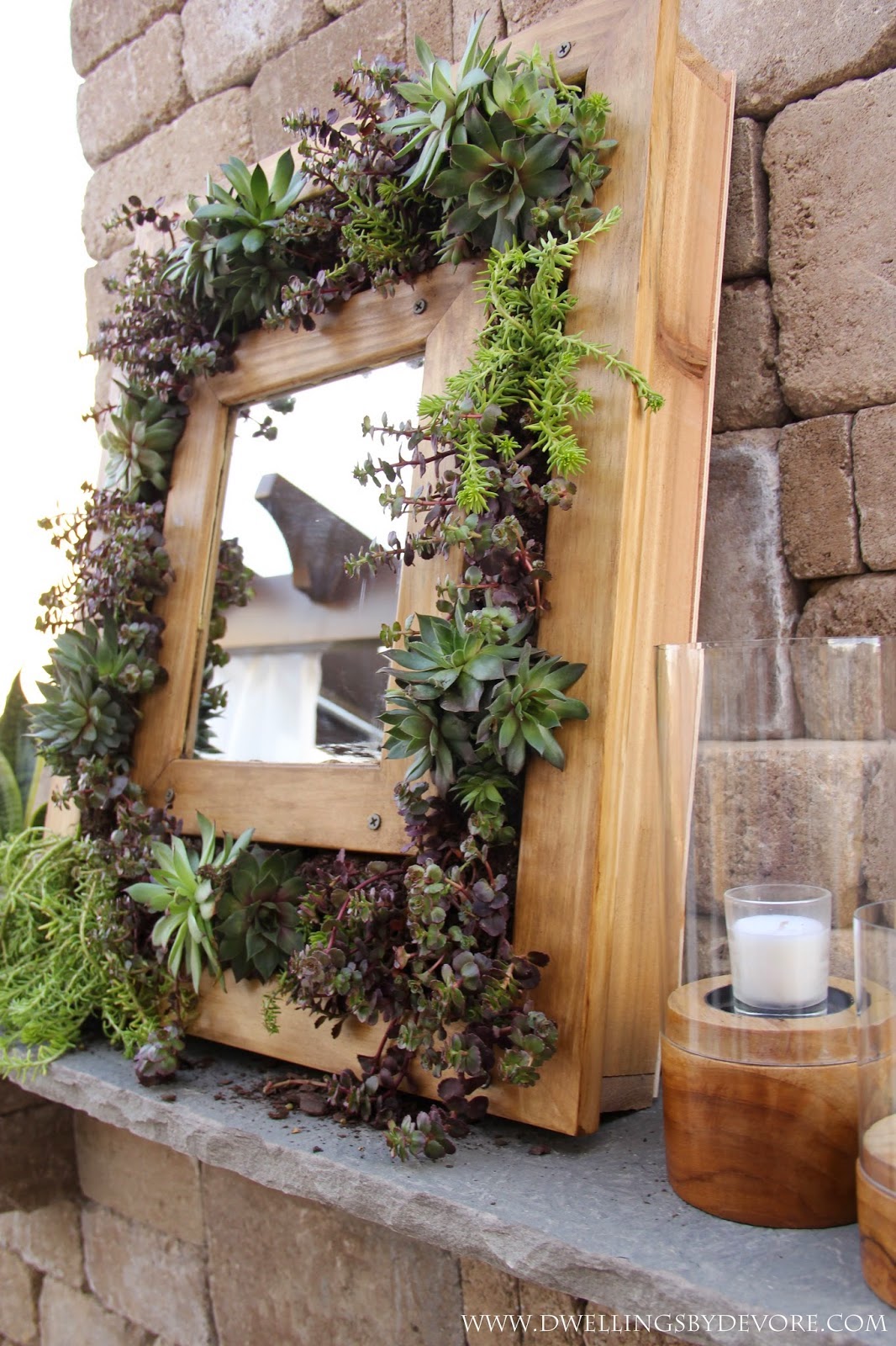 DIY Succulent Mirror