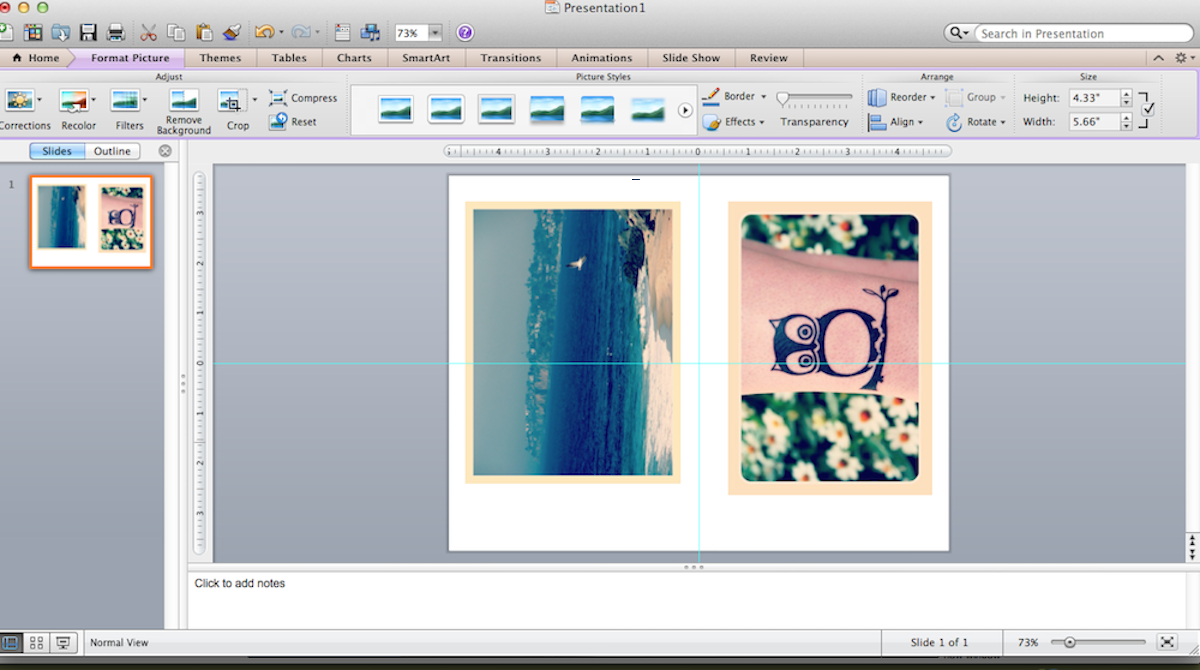 Resizing photos in power point