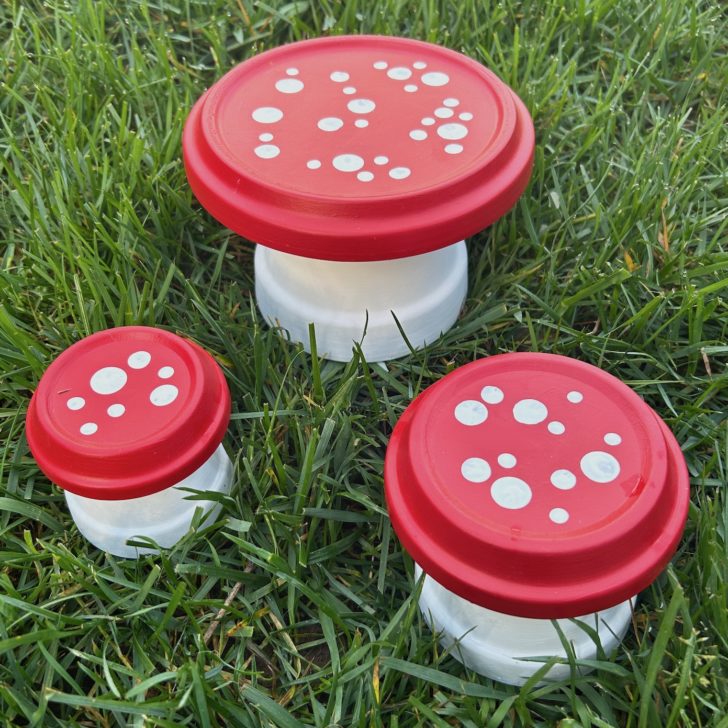 clay pot mushrooms