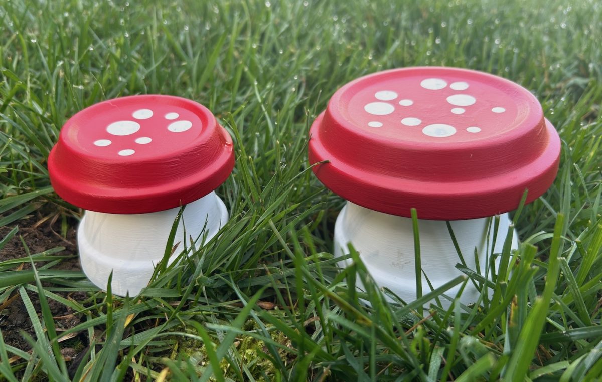 mushroom terracotta pots