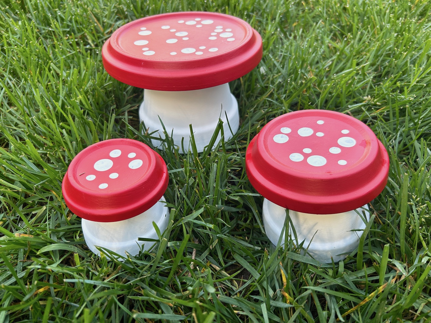 terracotta mushroom pots