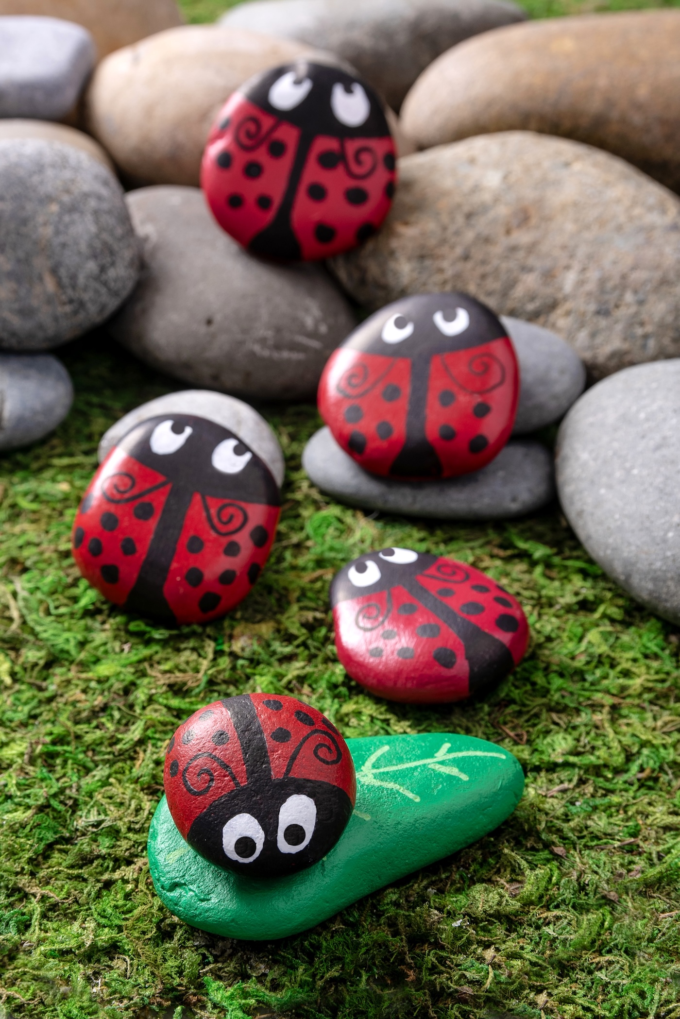 diy ladybug rocks