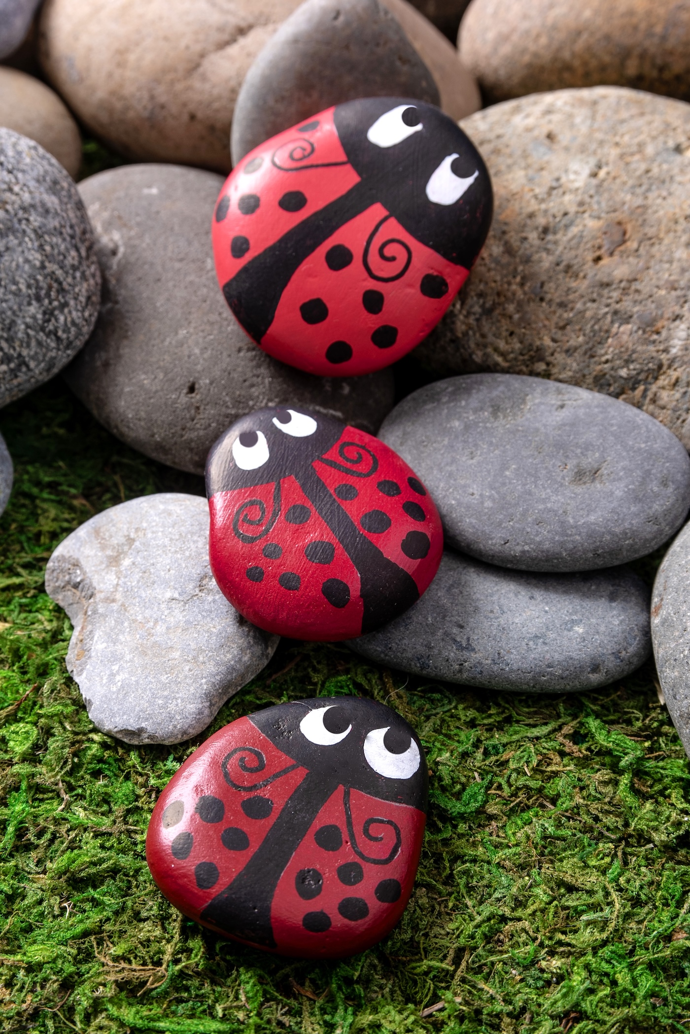 ladybug painted stones