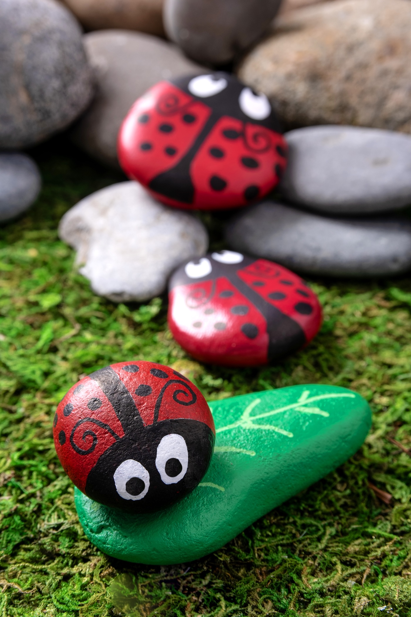 painted ladybug stones