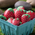 painting rocks like strawberries