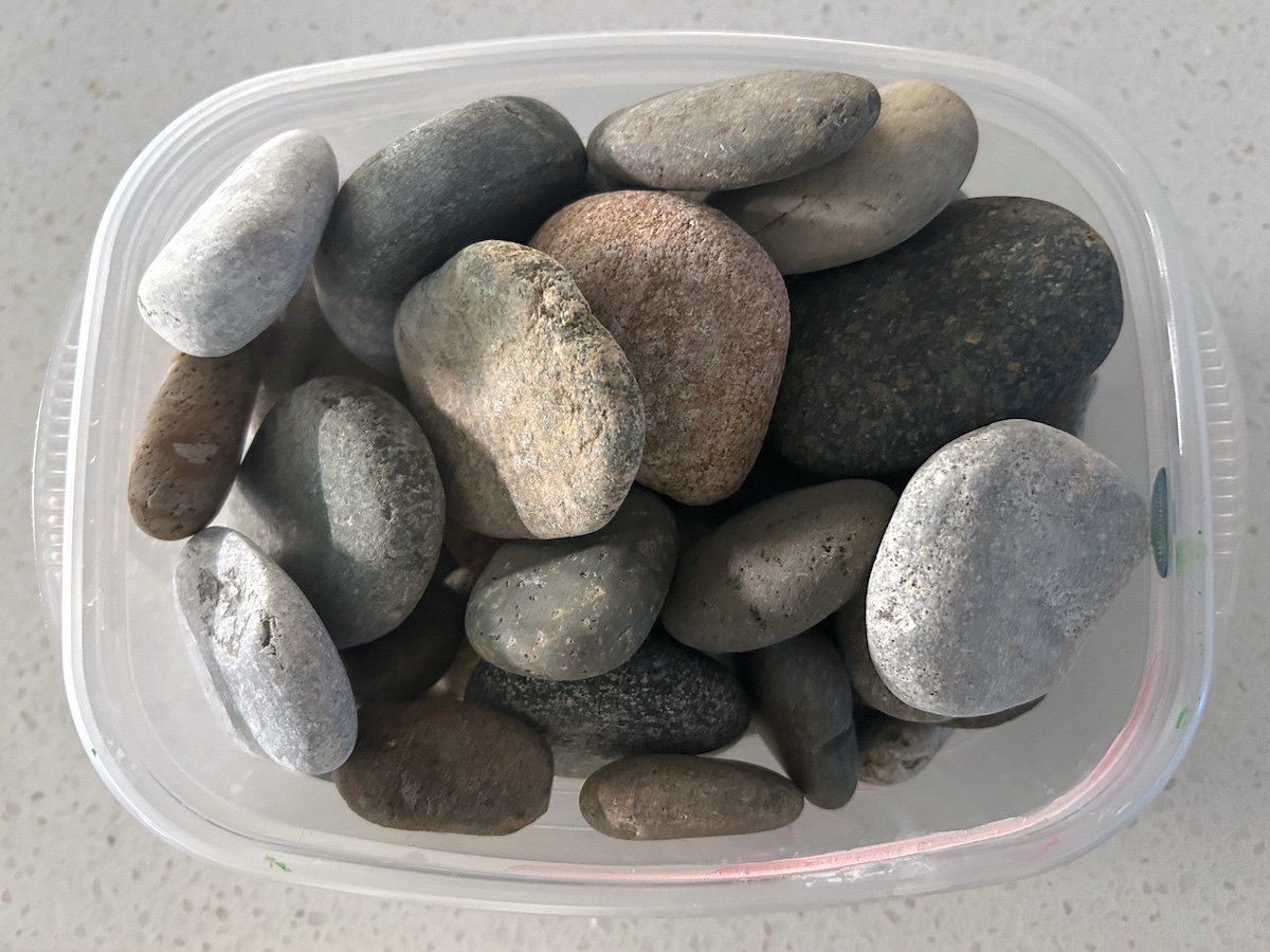 washed and dried rocks in a tupperware container