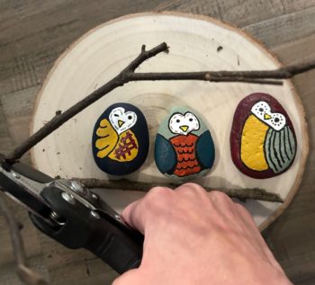trimming branches with pruners
